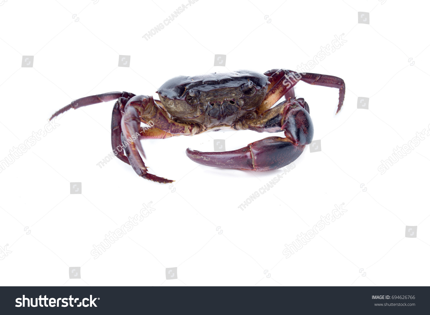 Crab Isolated On White Background Stock Photo 694626766 | Shutterstock