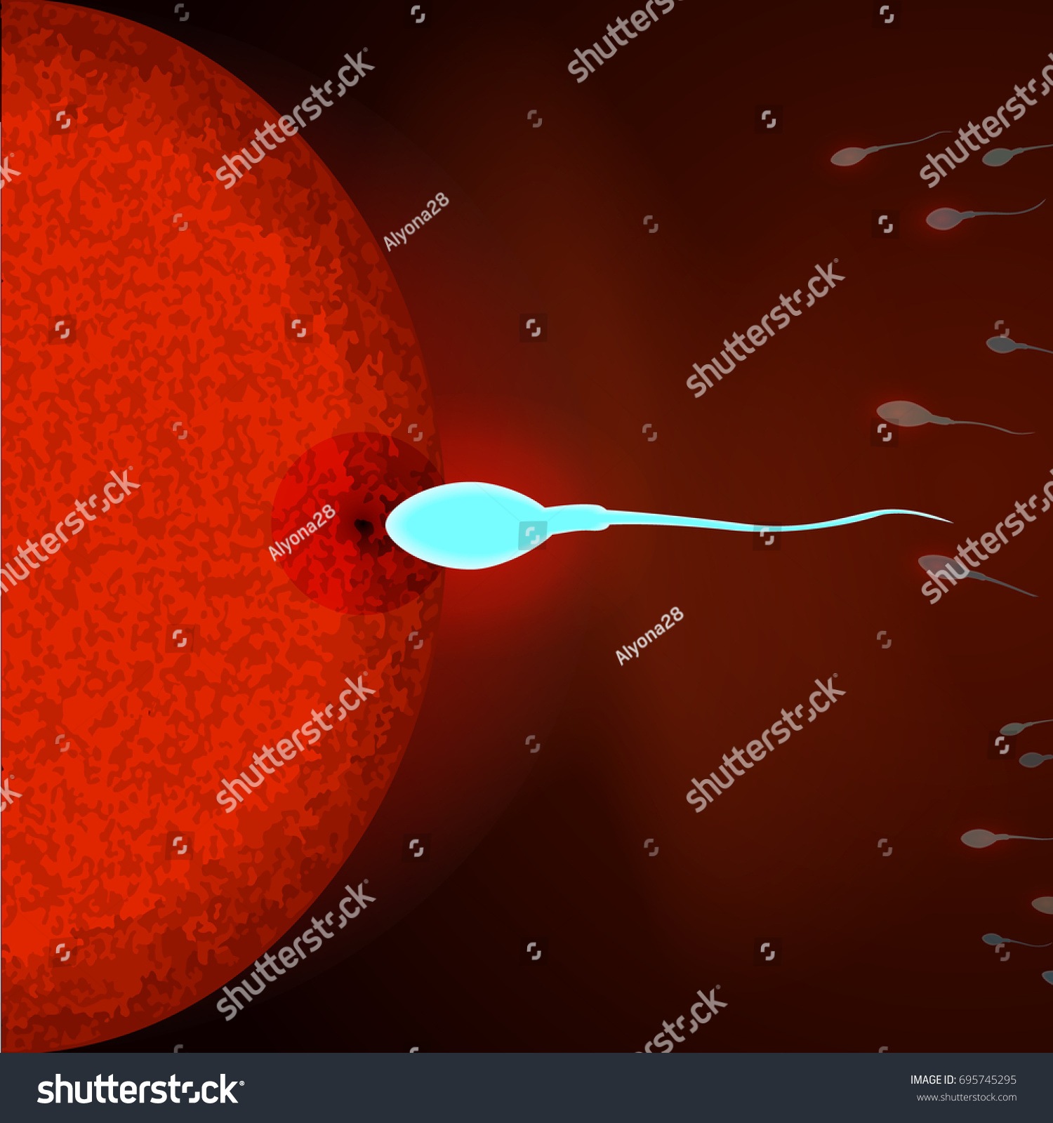 Vektor Stok Insemination Human Egg Cell By Sperm Tanpa Royalti 695745295 Shutterstock 0491