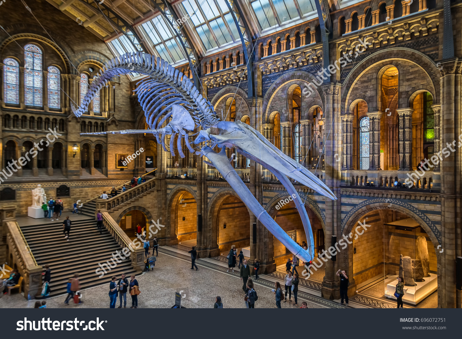 130,813 Museum Natural History Images, Stock Photos & Vectors ...