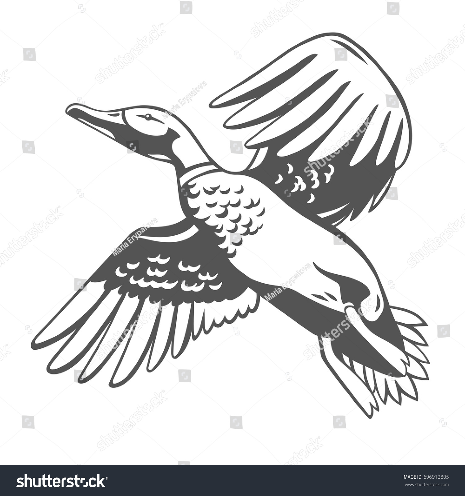 Duck Vector Illustration Stock Vector (Royalty Free) 696912805 ...