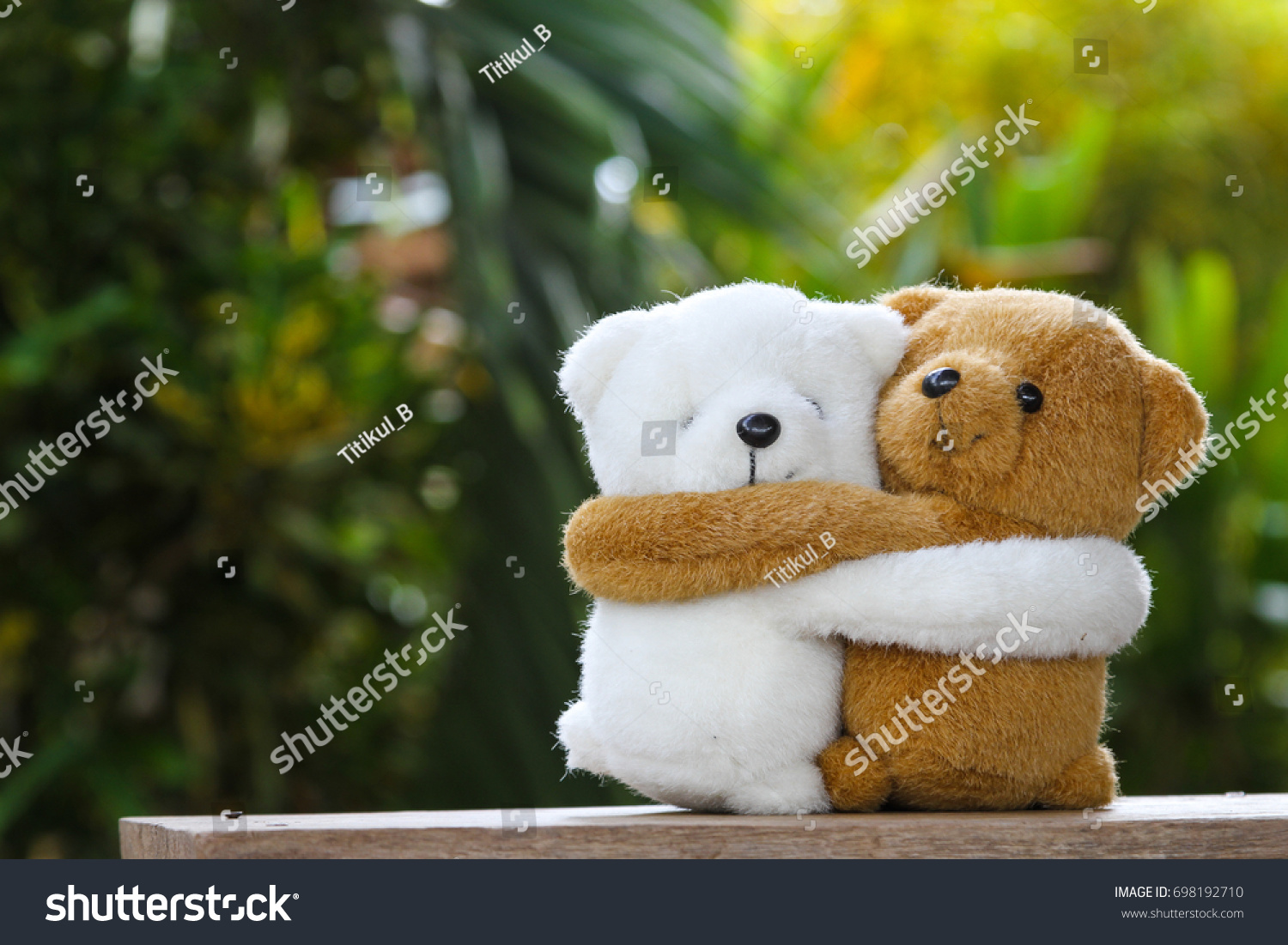 White Brown Teddy Bears Hugging On Stock Photo 698192710 | Shutterstock