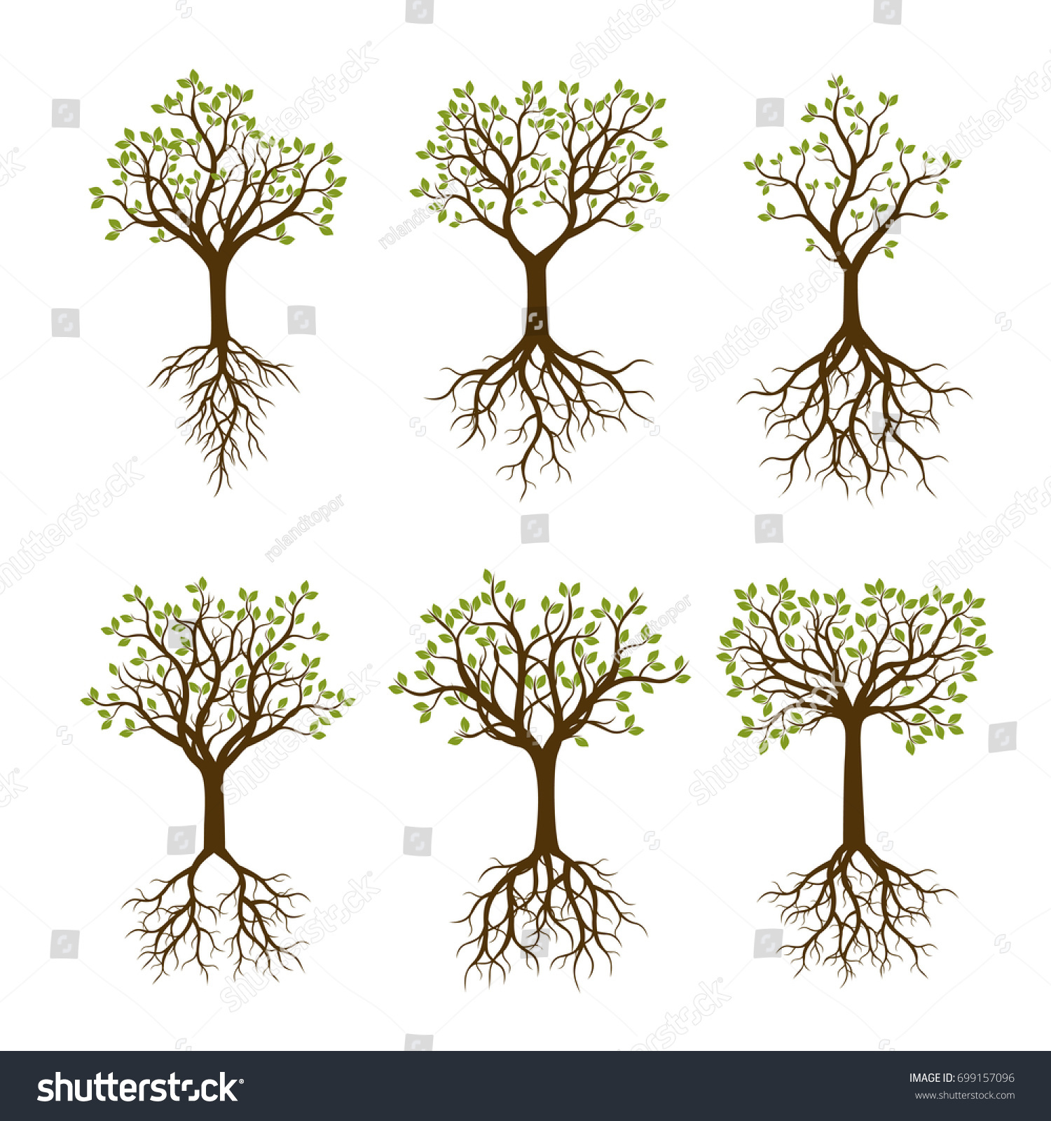 Set Color Trees Roots Vector Illustration Stock Vector (Royalty Free ...