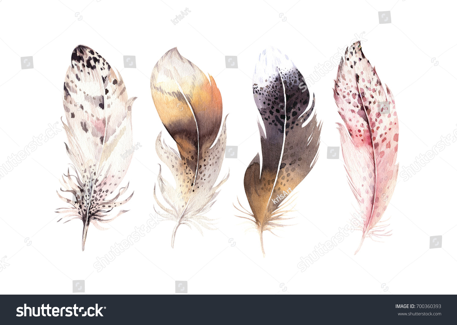 Hand Drawn Watercolor Paintings Vibrant Feather Stock Illustration ...