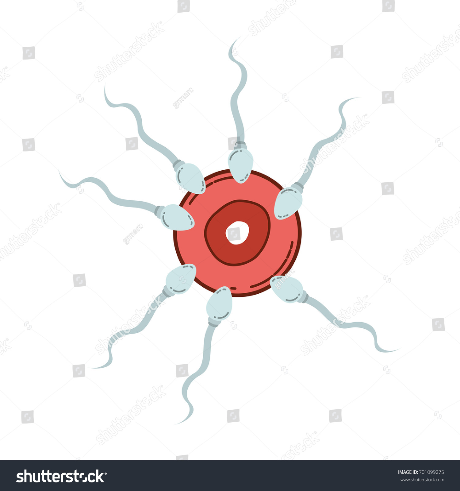 Color Silhouette Process Human Fertilization Sperm Stock Vector Royalty Free 701099275