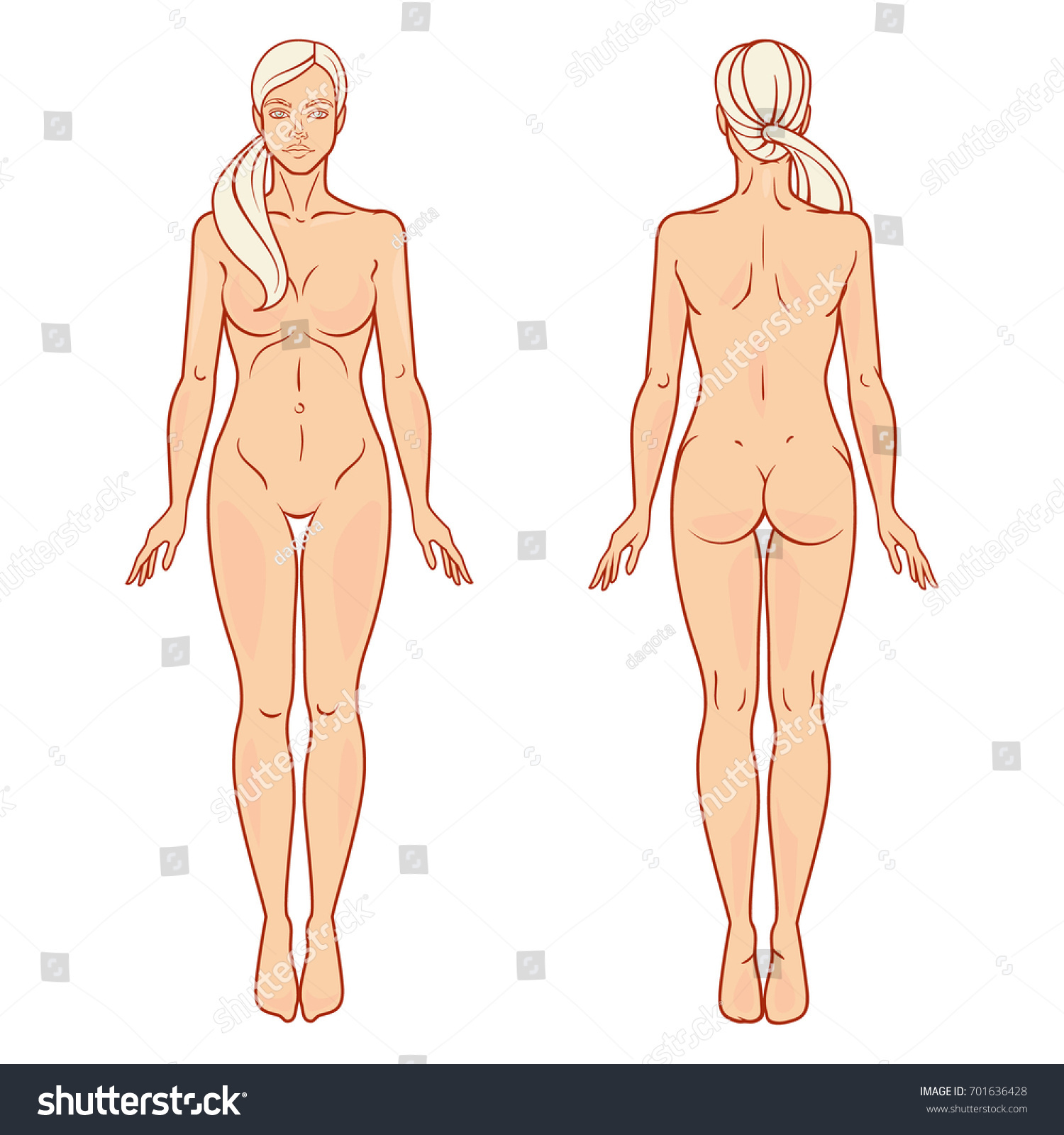 Female Body Front Back View Template: стоковая векторная графика (без лицен...