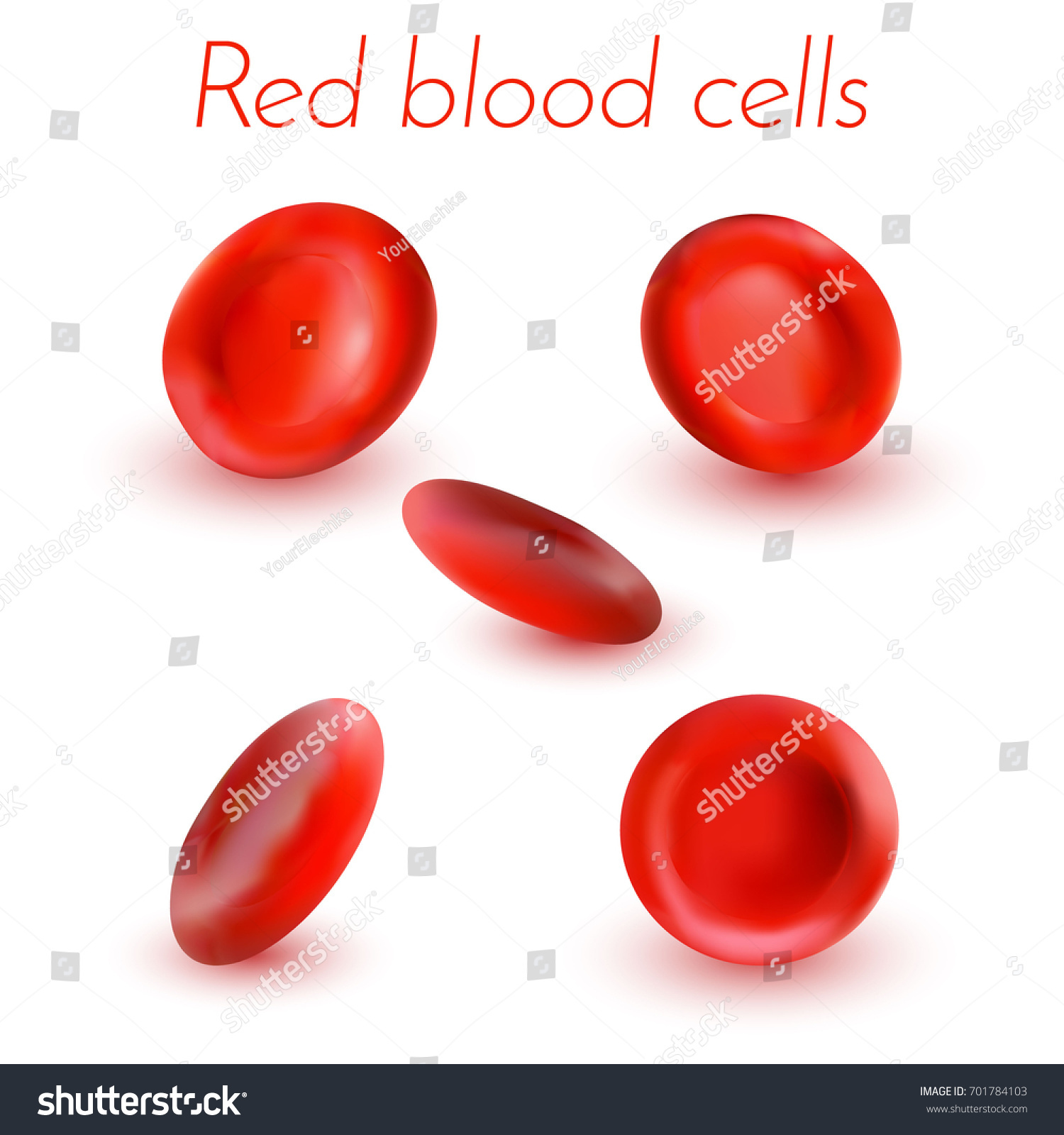 Red Blood Cells Isolated On White Stock Vector (Royalty Free) 701784103 ...