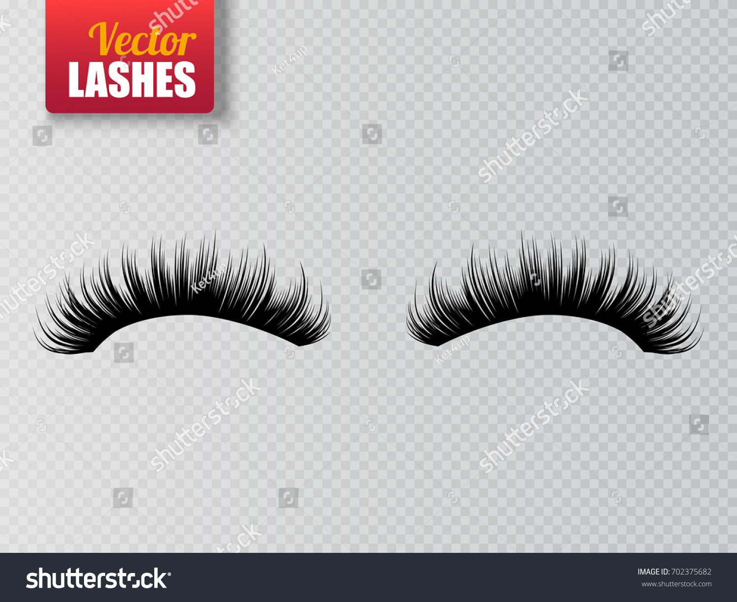 Vector Lashes Isolated On Transparent Background Stock Vector (Royalty ...