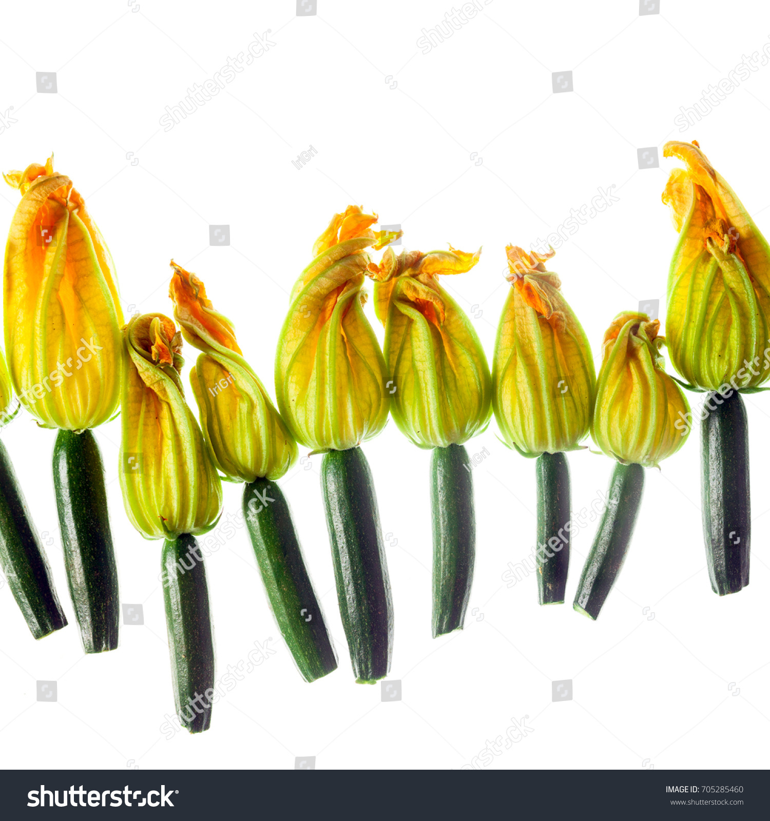 My Image 19