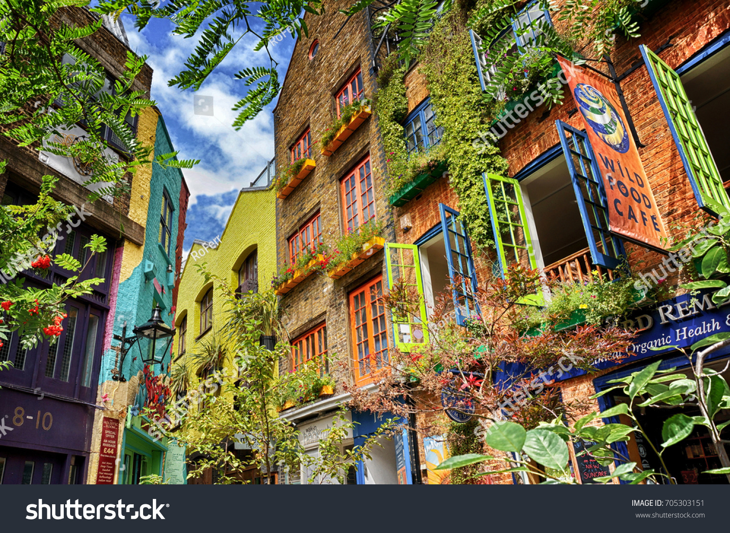 209 Neal’s yard 이미지, 스톡 사진 및 벡터 | Shutterstock