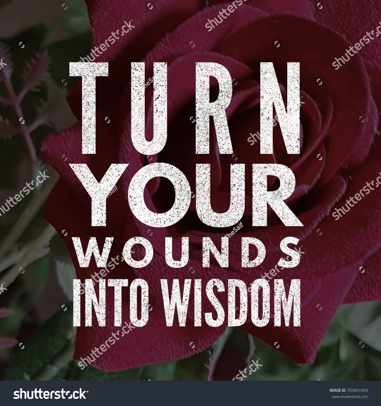 Turn Your Wounds Into Wisdom Quote Stock Photo 705851659 | Shutterstock