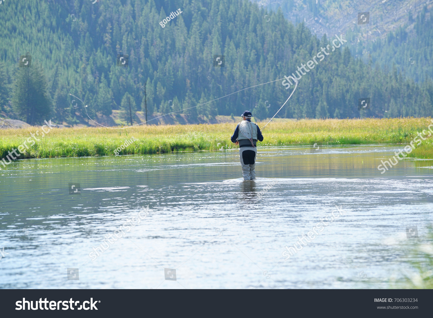 Flyfisherman Fishing Madison River Yellowstone Park Stock Photo ...