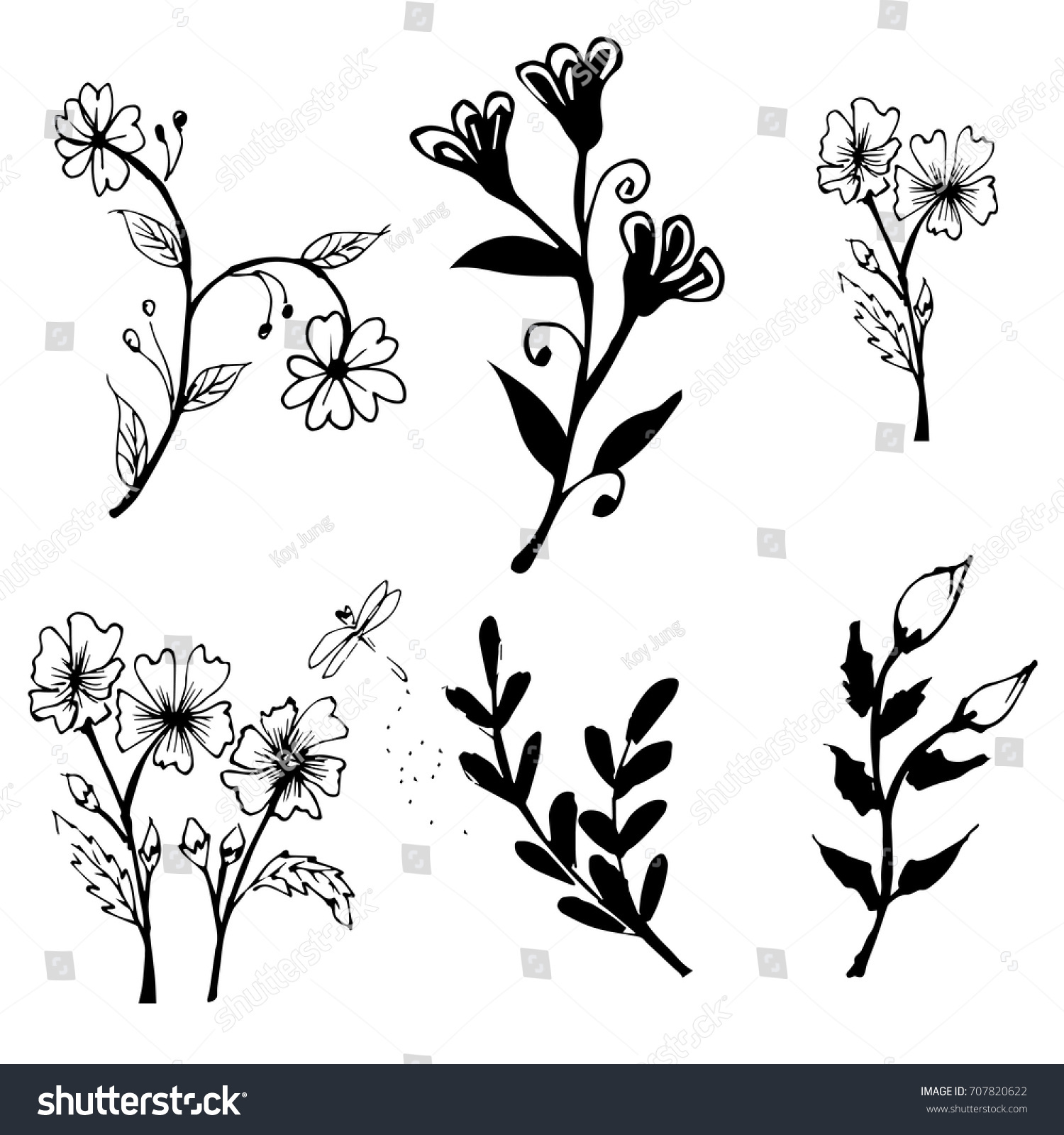 Collection Hand Drawn Flowers Plants Monochrome Stock Vector Royalty