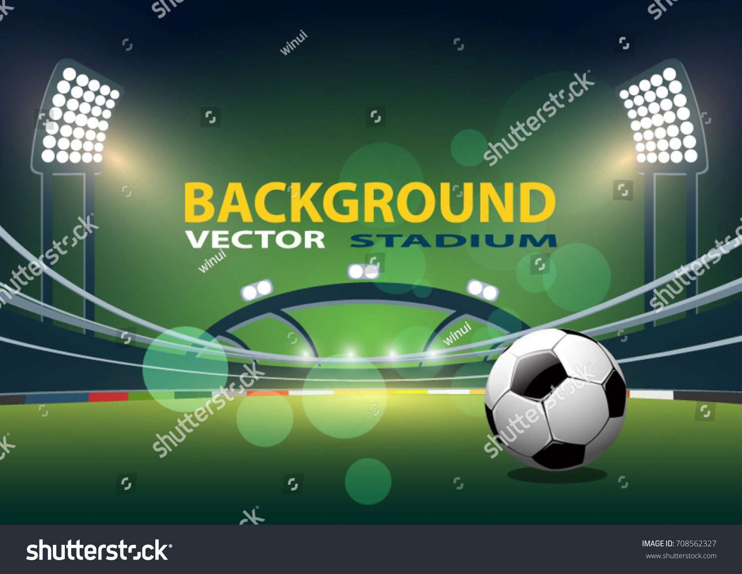 Soccer Stadium Football Arena Vector Illustration Stock Vector (Royalty ...