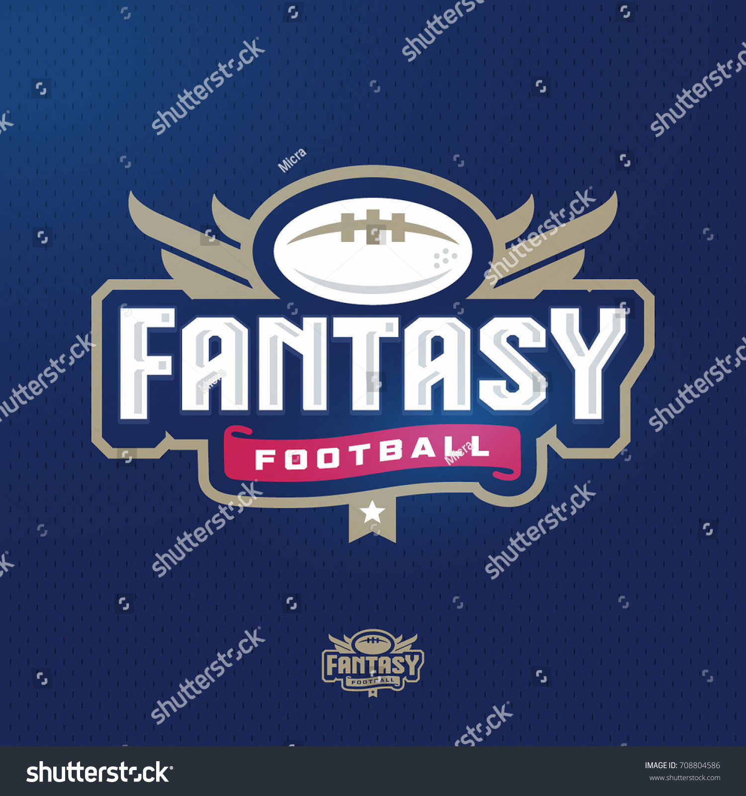 Modern Professional Fantasy Football Sports Template Stock Vector ...