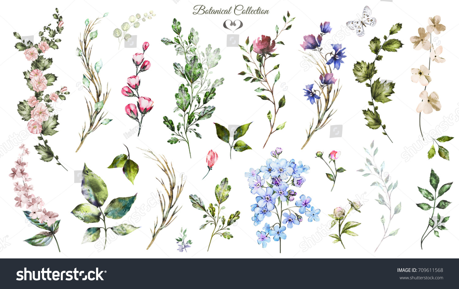 Big Set Watercolor Elements Wildflowers Herbs Stock Illustration 709611568 Shutterstock 3420
