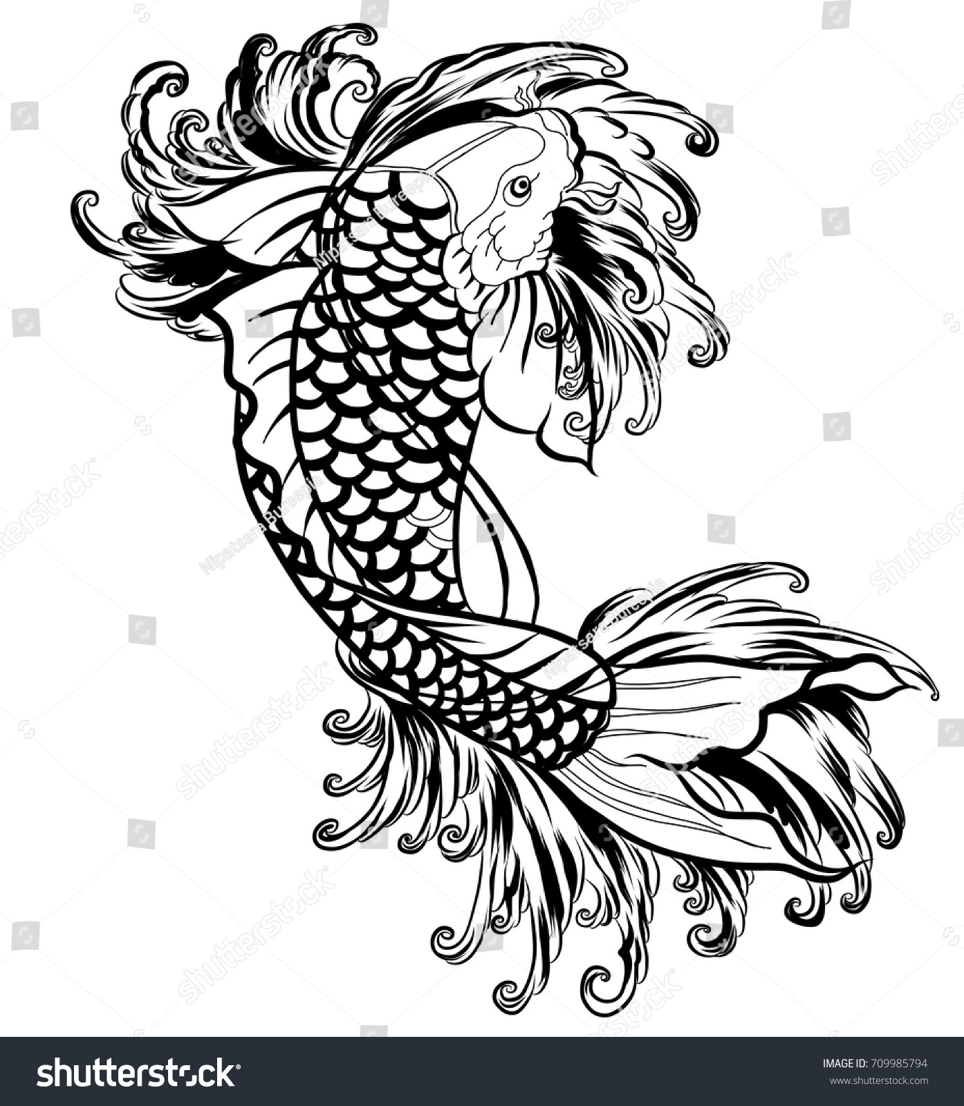 Hand Drawn Outline Koi Fish Water Stock Vector Royalty Free Shutterstock