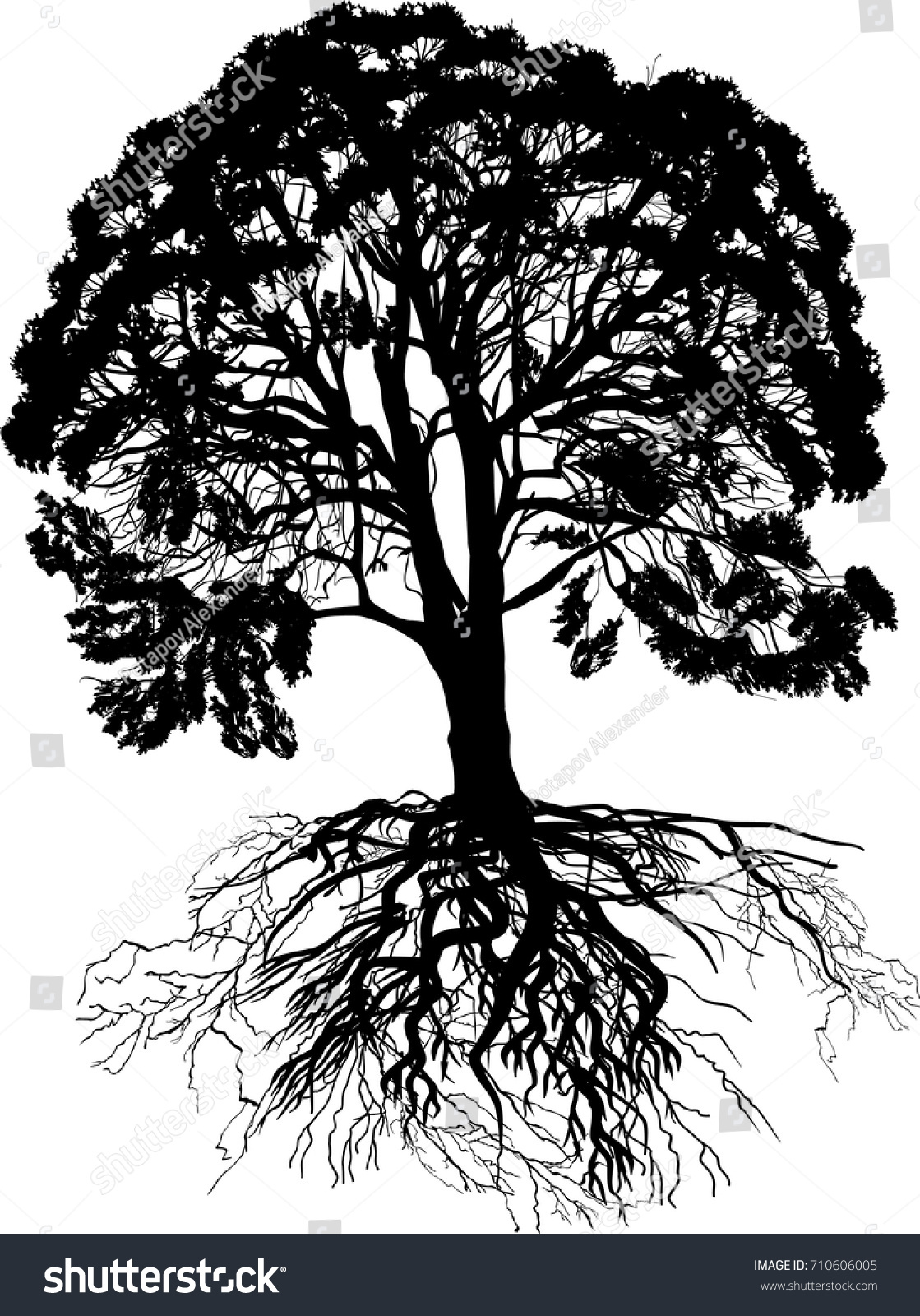 Illustration Large Tree Isolated On White Stock Vector (Royalty Free ...