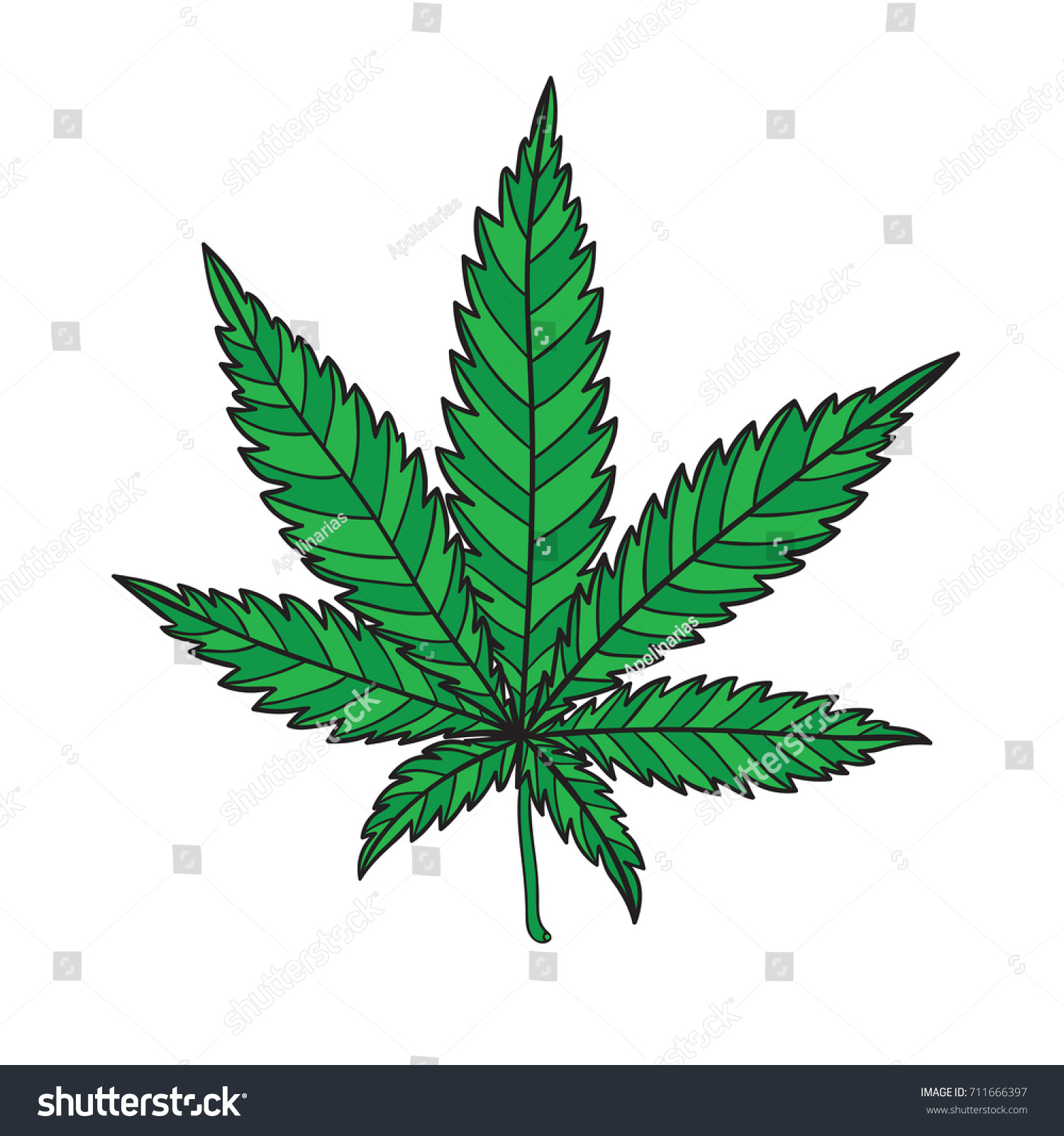 Cannabis Leaf Illustration On White Background Stock Vector (Royalty ...