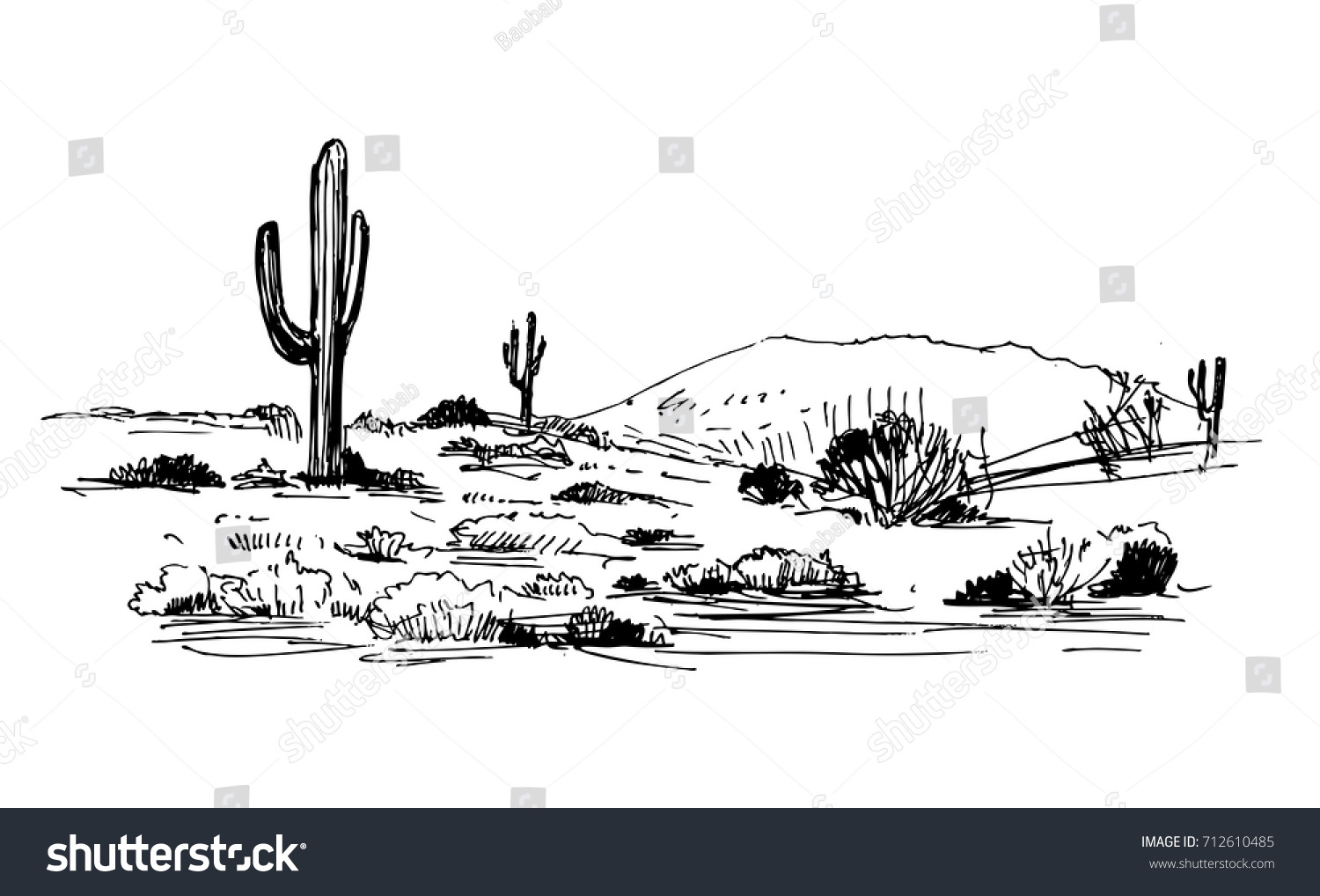 Пустыня кактусы скетч