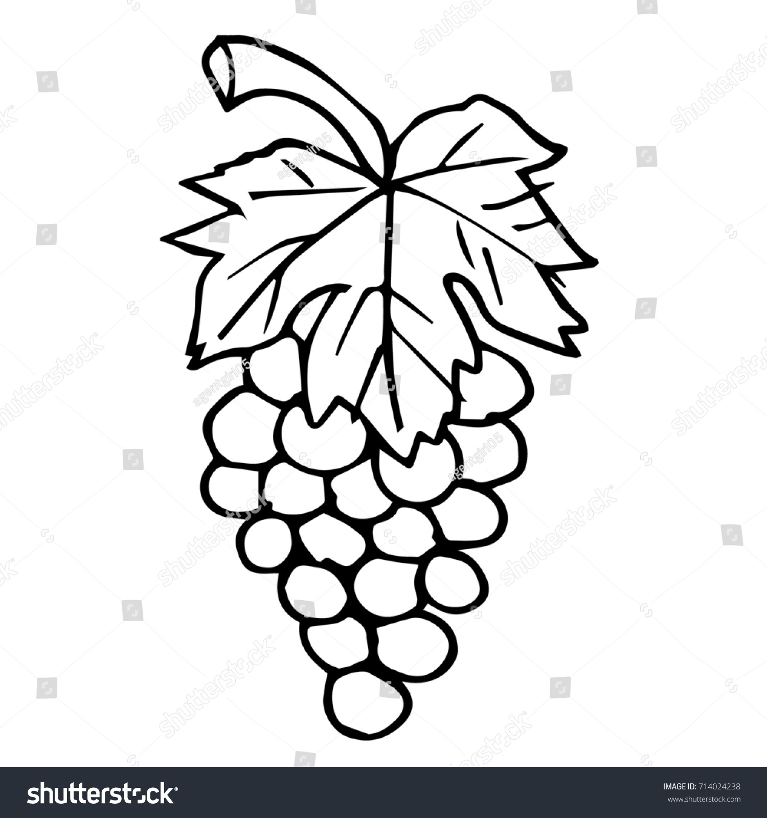 Grapes Illustration Doodle Style Design Icon Stock Illustration ...