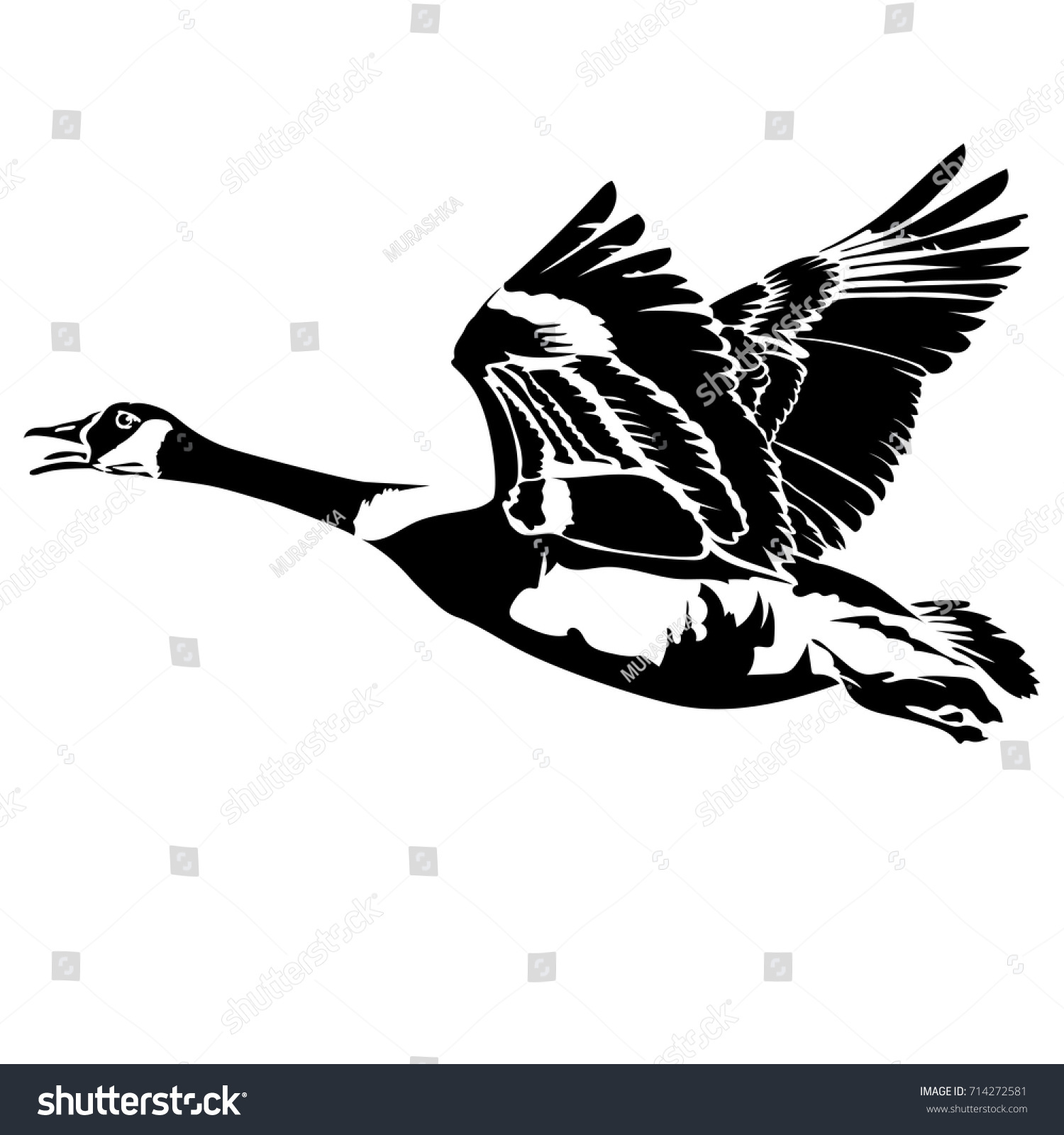 Vector Flat Illustration Black Silhouette Flying Stock Vector (Royalty ...