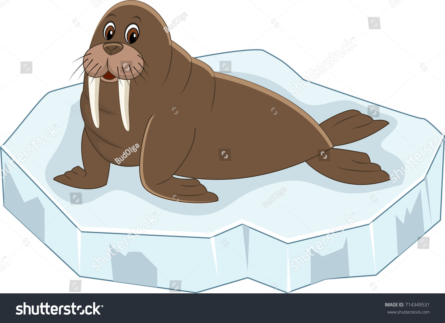 Рисование морж на льдине
