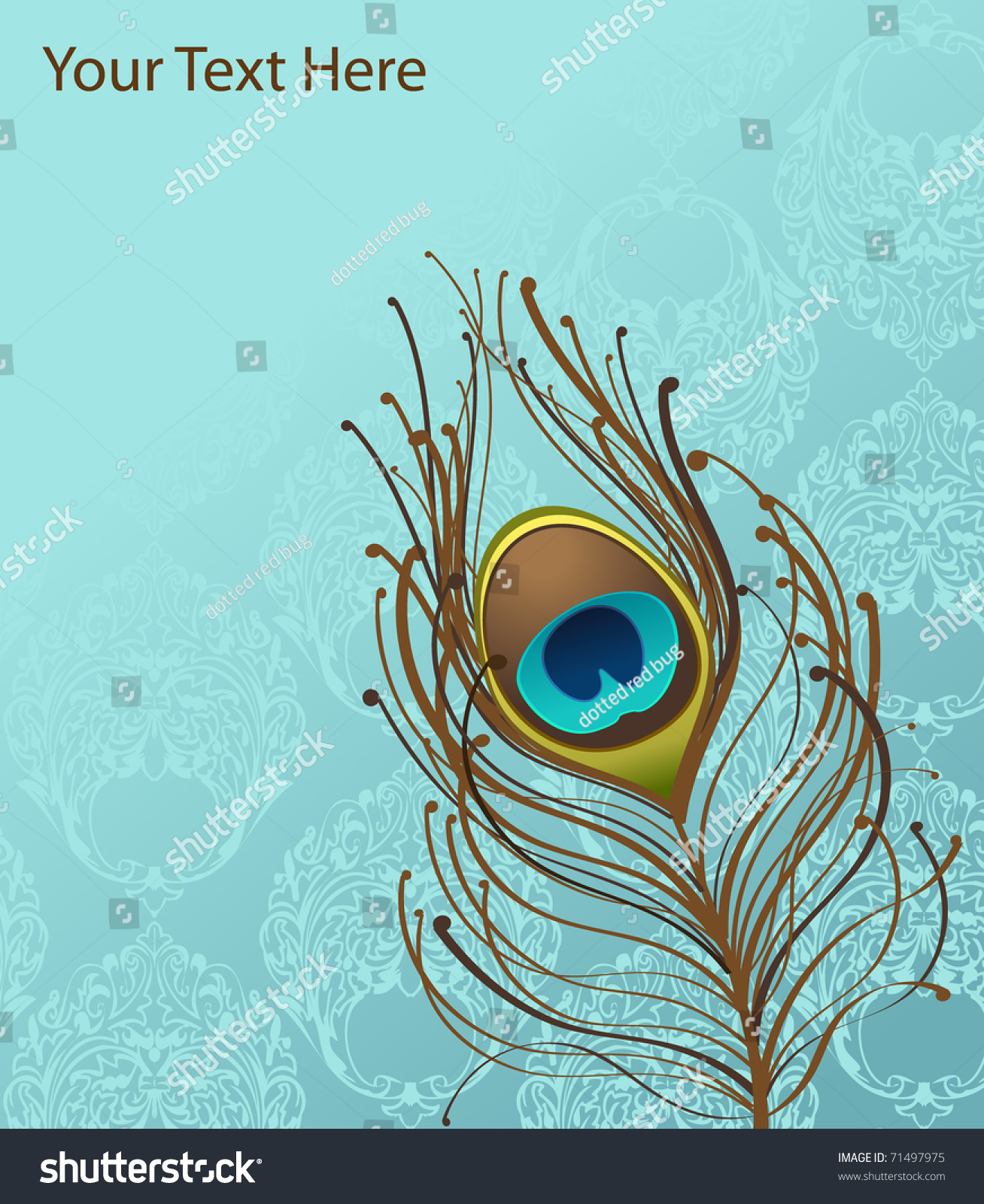 Illustration Blue Wallpaper Peacock Feather Stock Vector Royalty Free