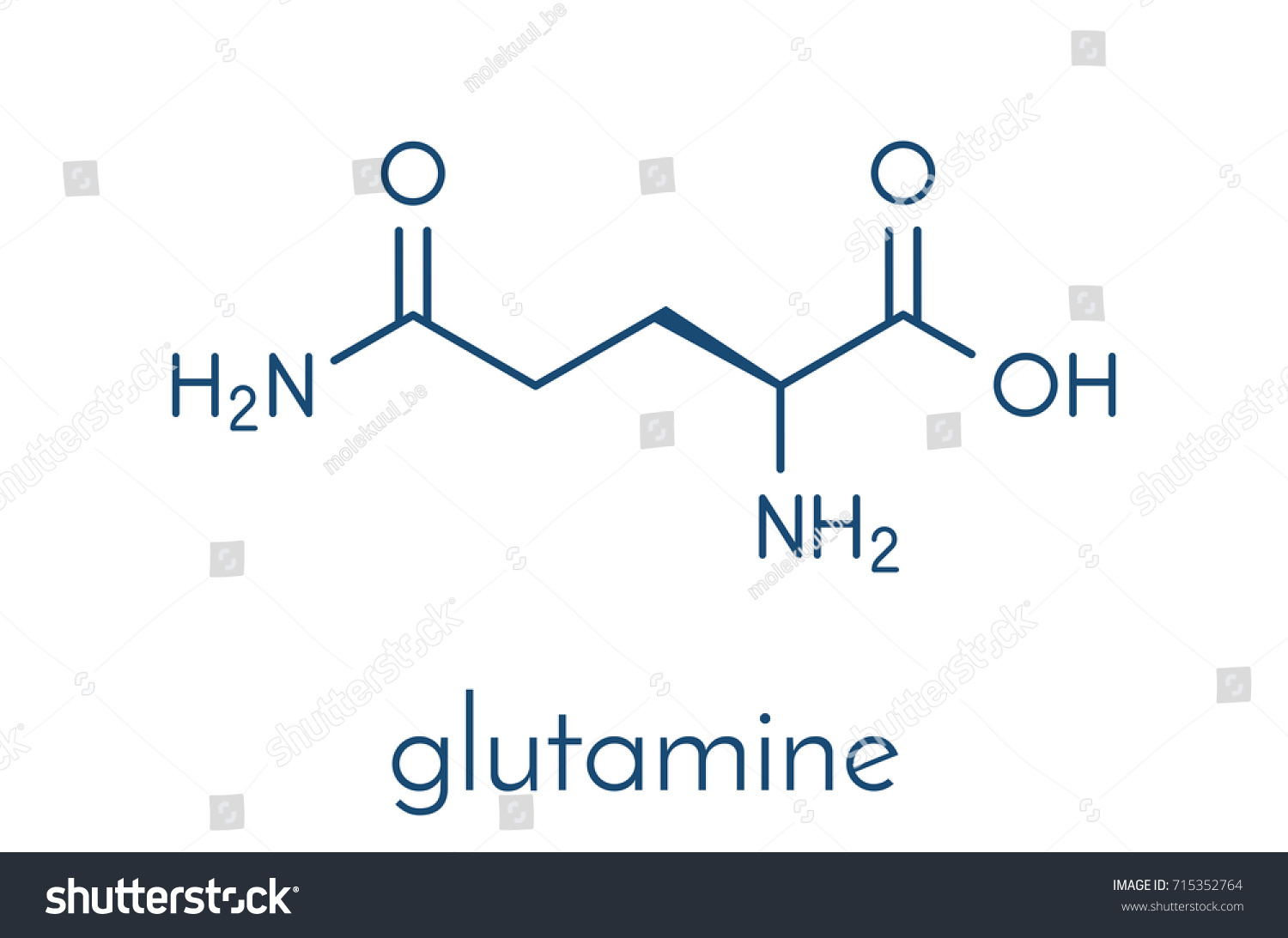 Glutamine Lglutamine Gln Q Amino Acid Stock Vector (Royalty Free ...