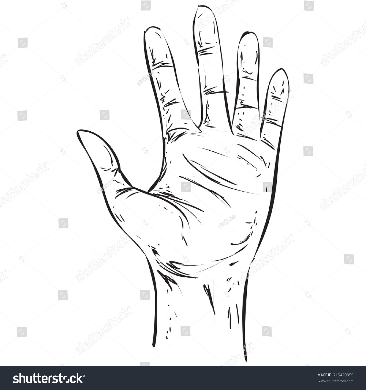 Vector Illustration Hand Gesture Showing Number Stock Vector (Royalty ...