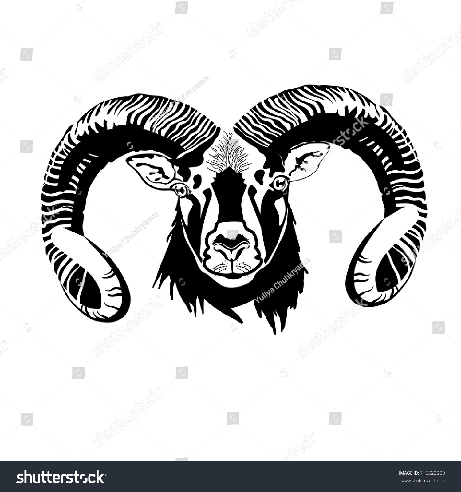 Vector Ram Head On White Background Stock Vector (Royalty Free ...