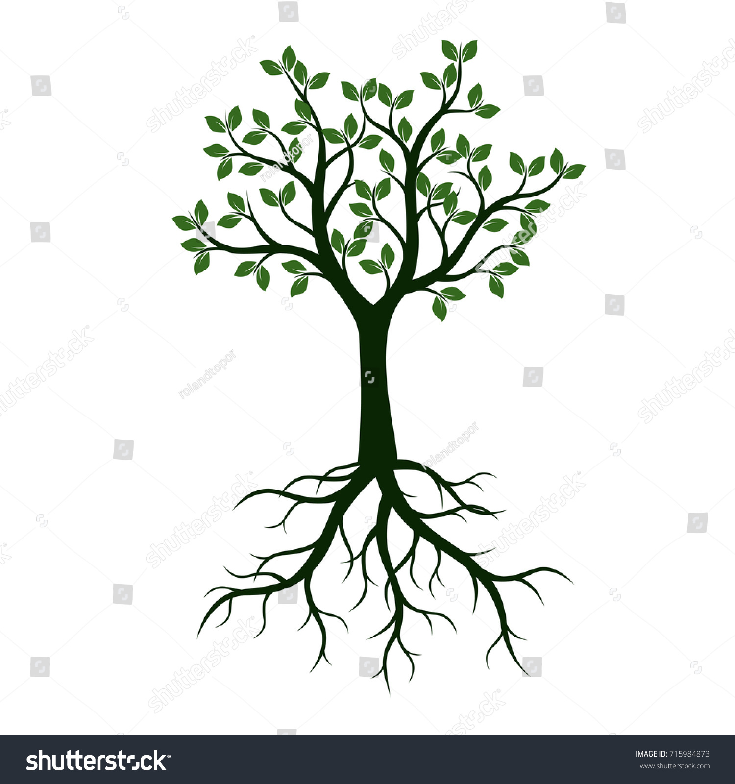 Green Tree Leaves Roots Vector Illustration Stock Vector (Royalty Free ...