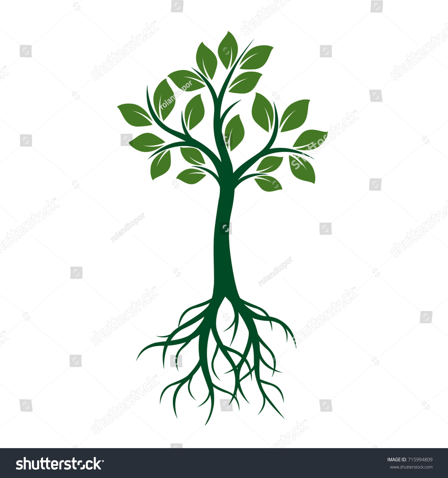 Green Tree Leaves Roots Vector Illustration Stock Vector (Royalty Free ...