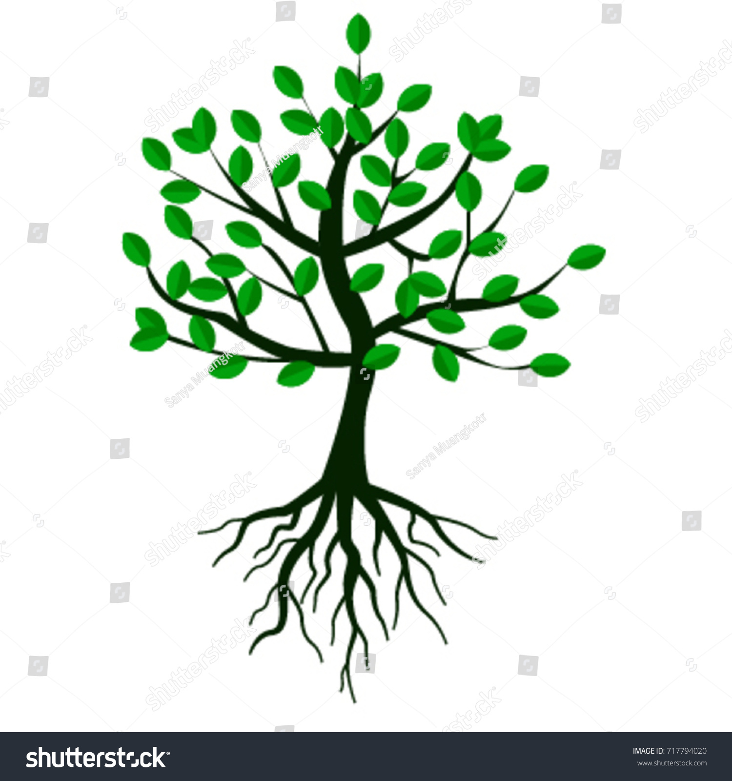 Trees Vector Isolated White Background Stock Vector (royalty Free 