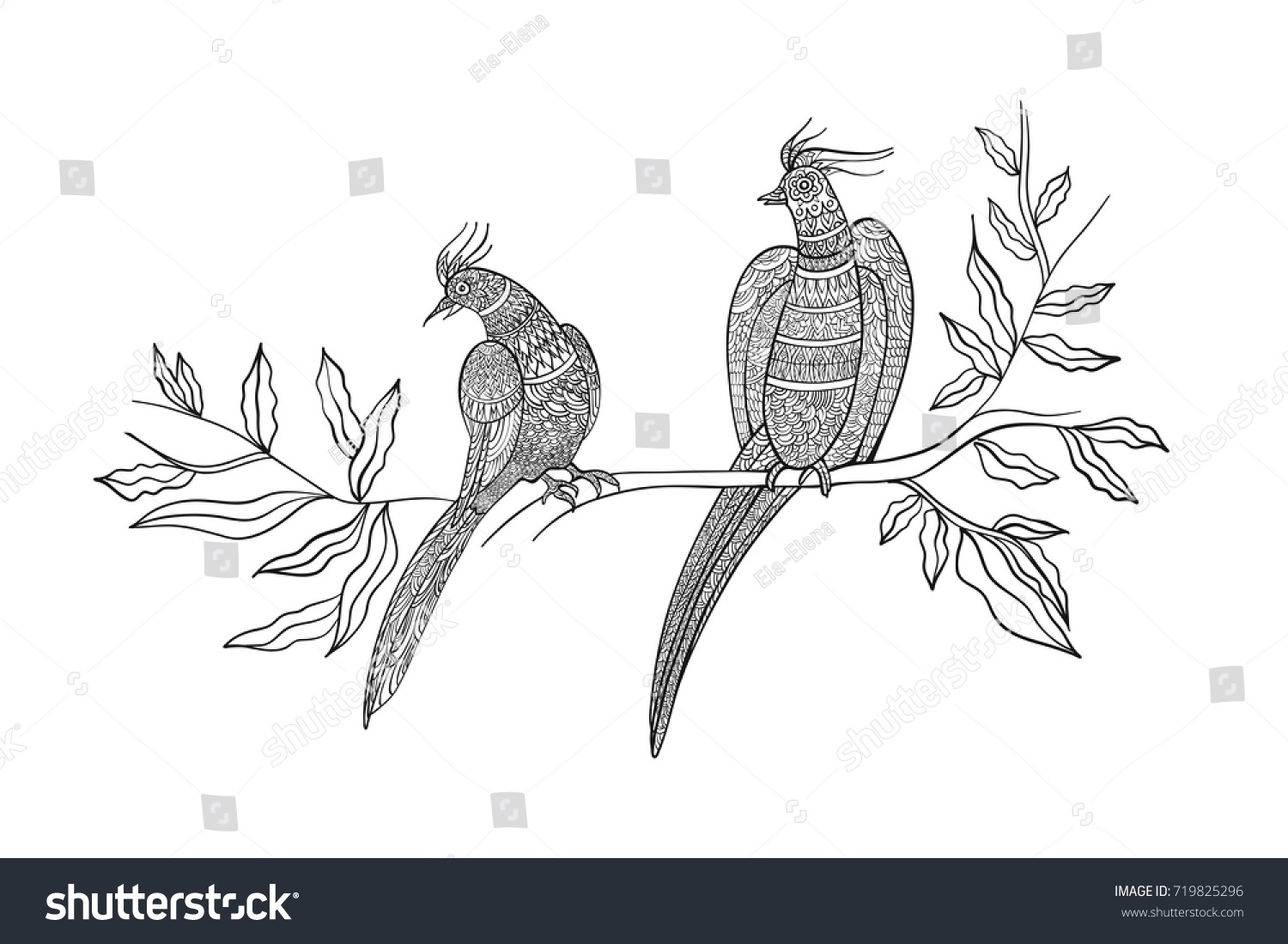 Coloring Book Page Ornamental Exotic Birds Stock Vector (Royalty Free ...