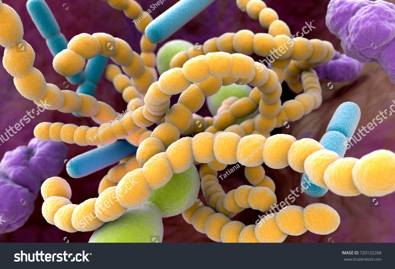 Closeup Bacteria Found Mouth Which Can Stock Illustration 720132268 ...