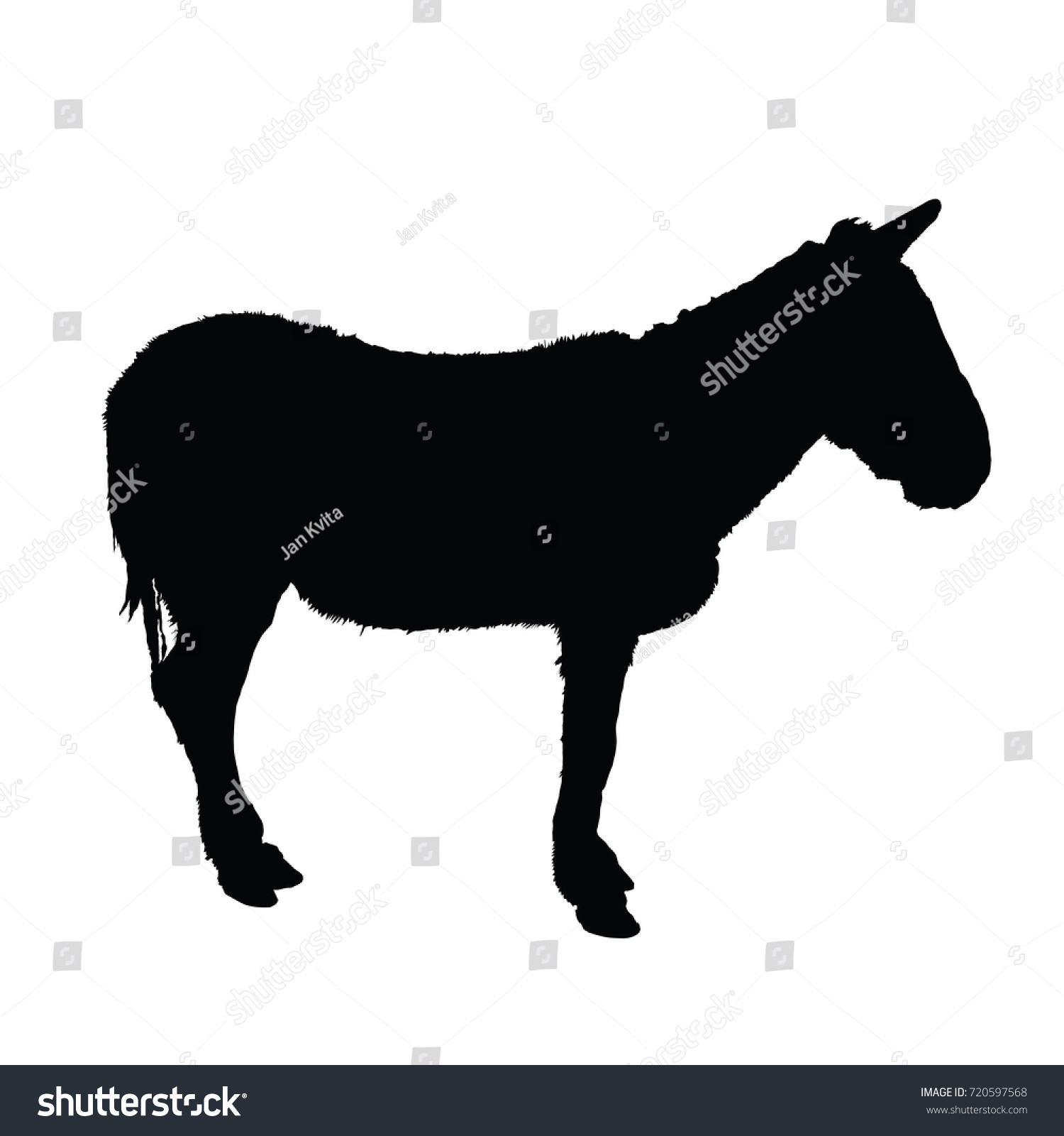 Donkey Vector Silhouette On White Background Stock Vector (Royalty Free ...