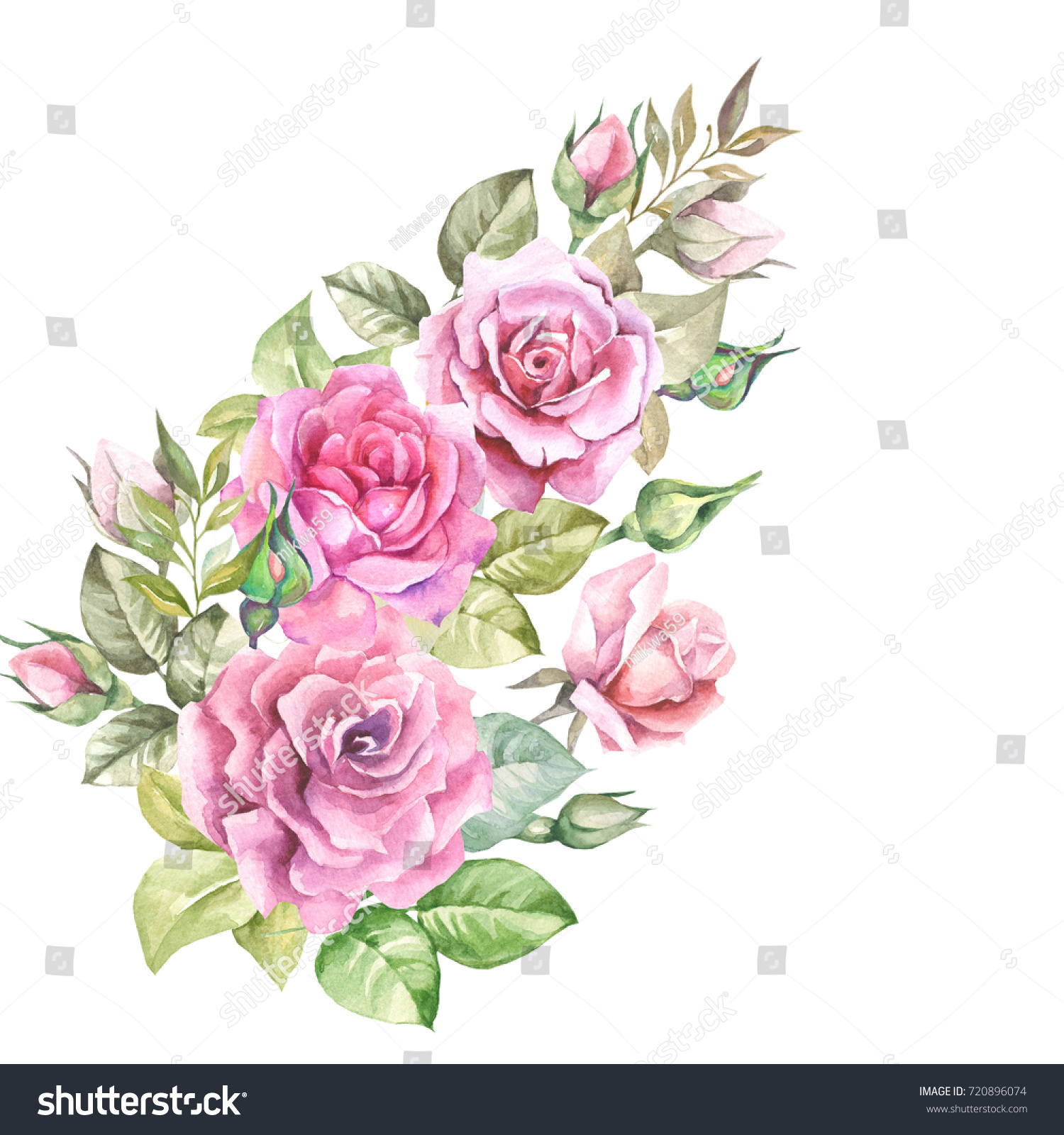 Flowers Composition Watercolor Roses Stock Illustration 720896074 ...