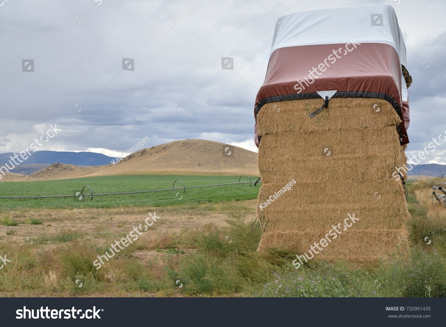 Stack Large Hay Bales Tarp Covering Stock Photo 720991435 Shutterstock