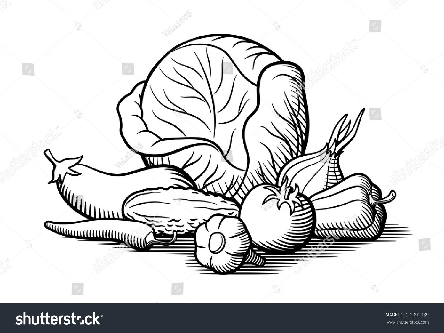 Still Life Vegetables Cabbage Eggplant Tomato Stock Vector (Royalty ...