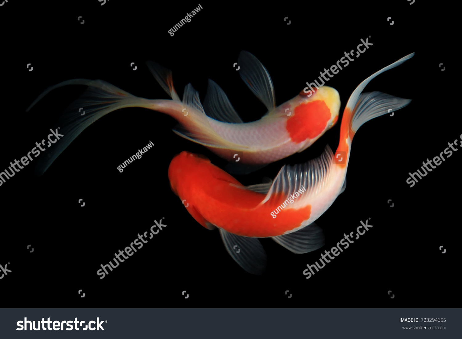 Koi Fish Stock Photo 723294655 | Shutterstock