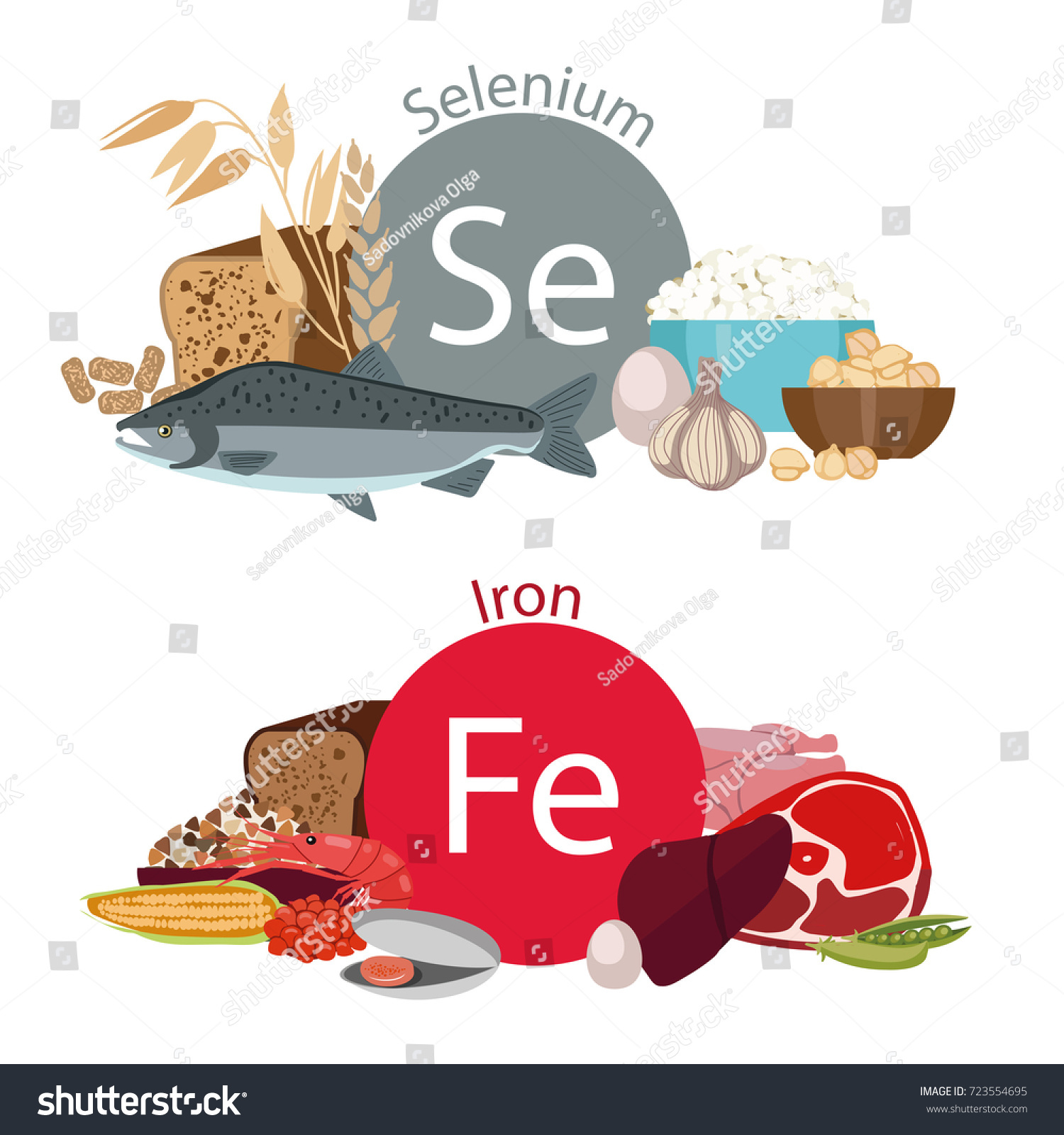 Infographics Health Food Foods Rich Microelements Stock Illustration Hot Sex Picture 8953