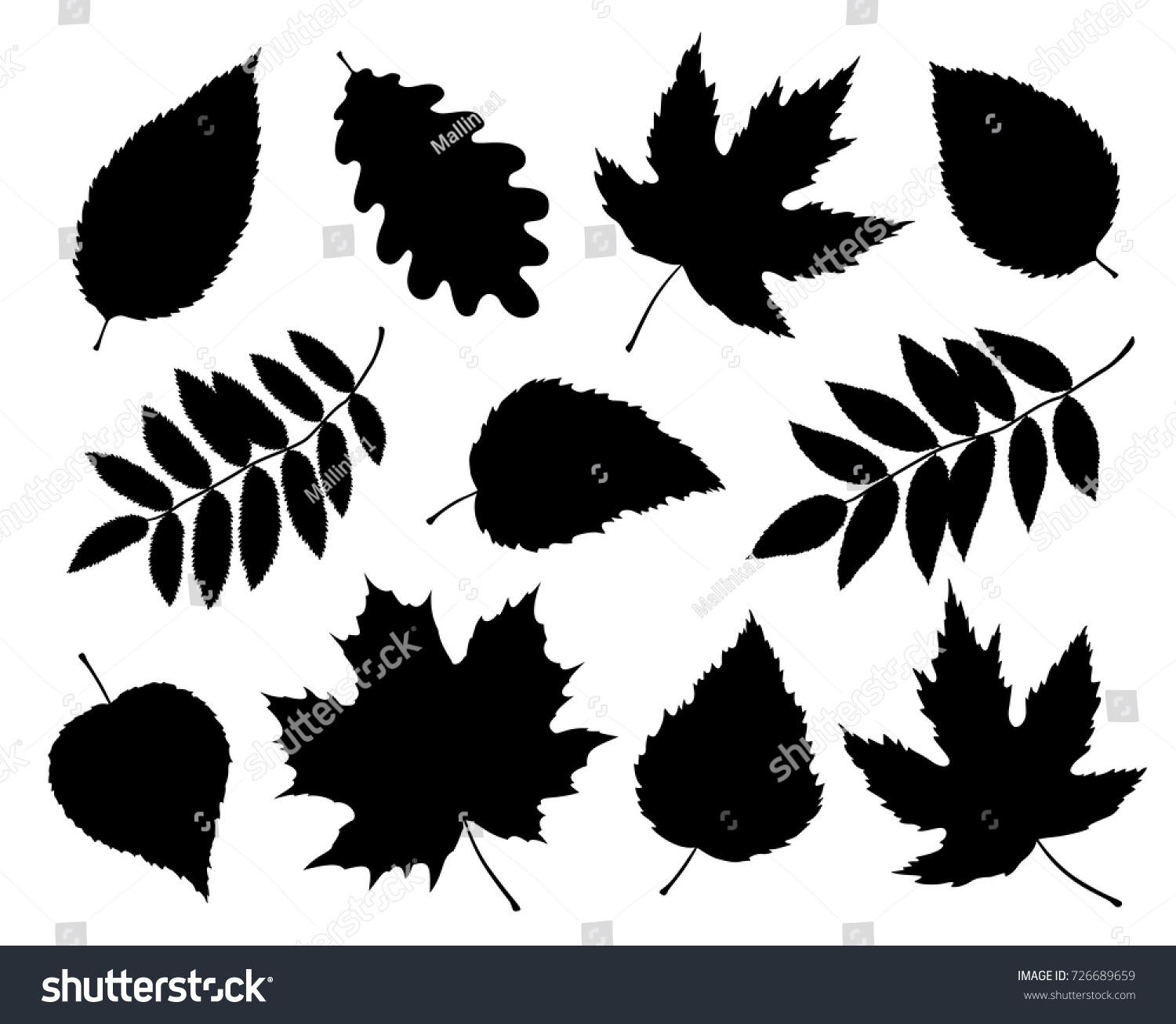 Art Set Black Isolated Tree Leaves Stock Vector (Royalty Free ...