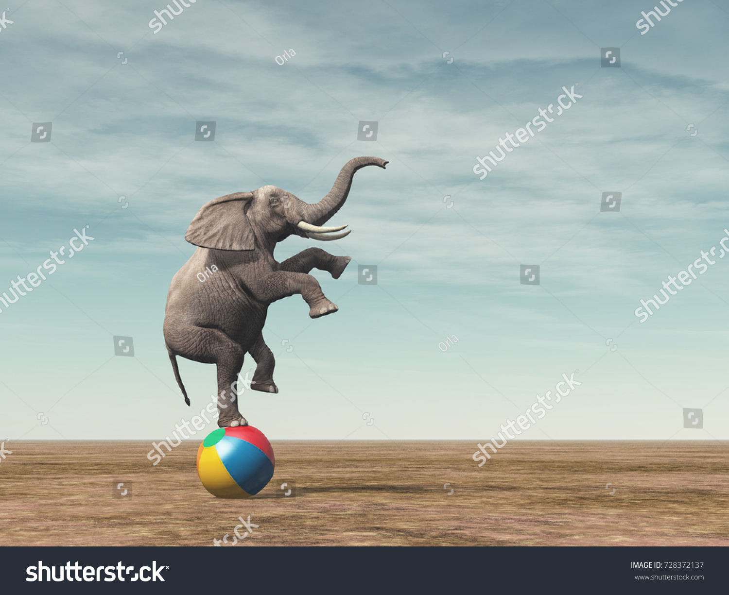 Elephant ball. Слон на шаре. Слон на мяче. Слоны на шаре. Слон на шаре в цирке.