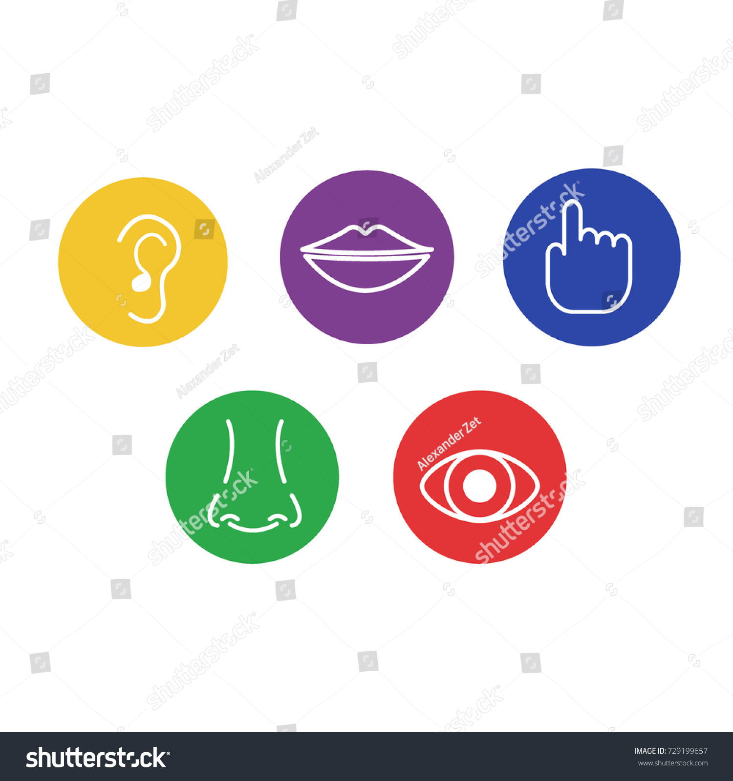 Set Icons Five Human Senses Sight Stock Illustration 729199657 ...