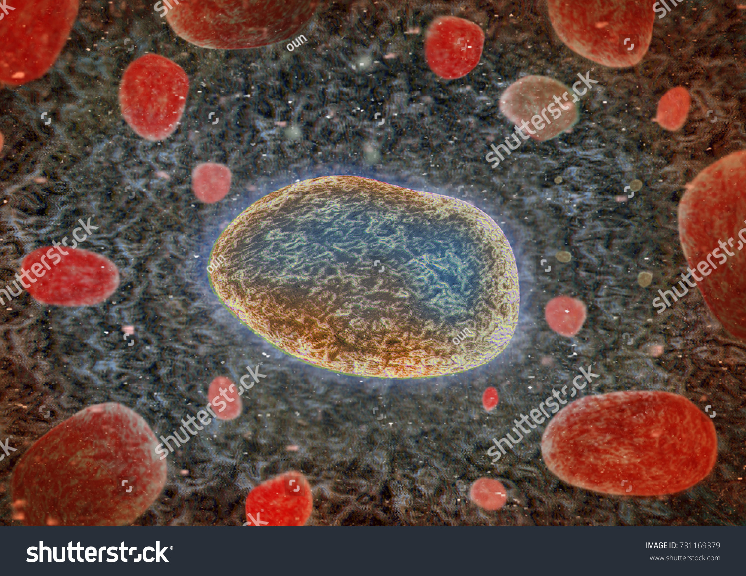 Red Blood Cellsactivated Platelet White Blood Stock Illustration ...