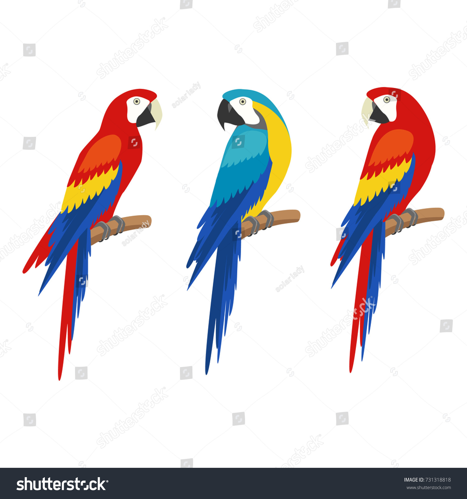 Parrot Set Isolated On White Background Stock Vector (Royalty Free ...