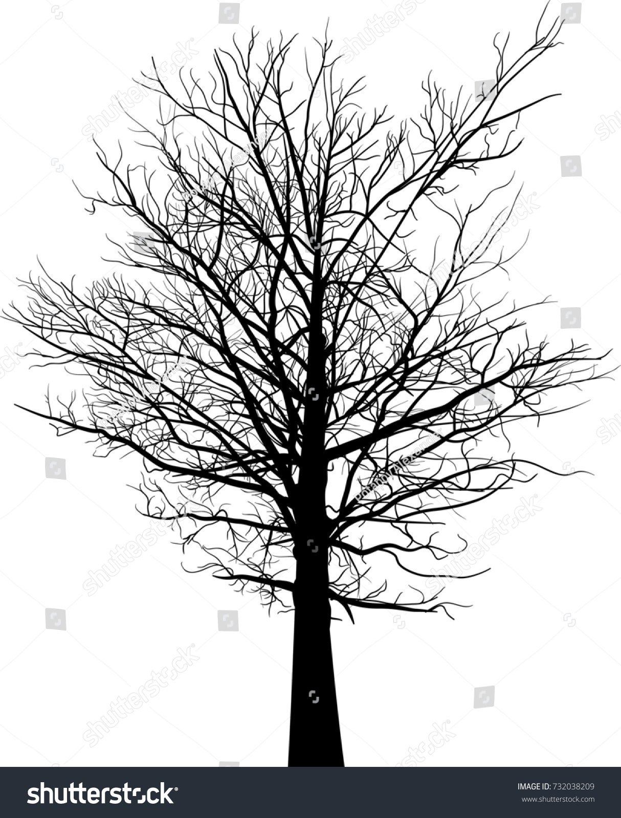 Illustration Black Large Tree Silhouette Isolated Stock Vector (Royalty ...