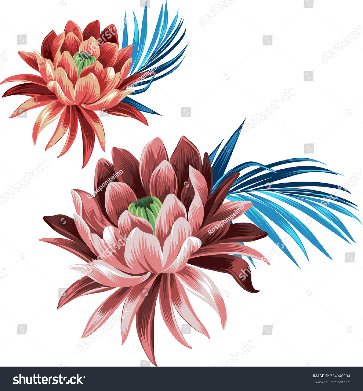 Set Lotus Flowers Leaves Vector Waterlily Stock Vector Royalty Free 734046904 Shutterstock 4574