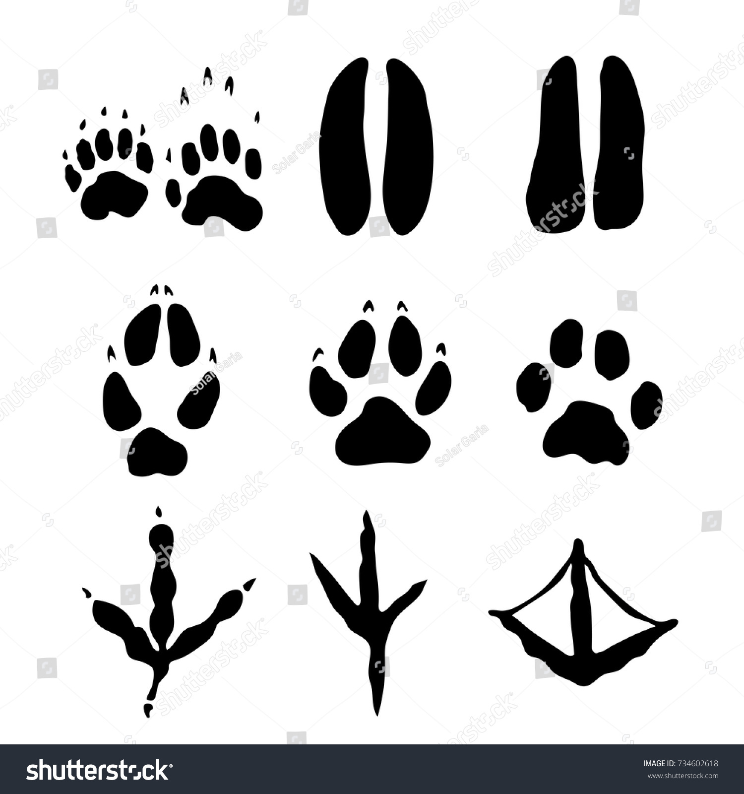 Set Mammals Bids Footprints Isolated On Stock Vector (Royalty Free ...