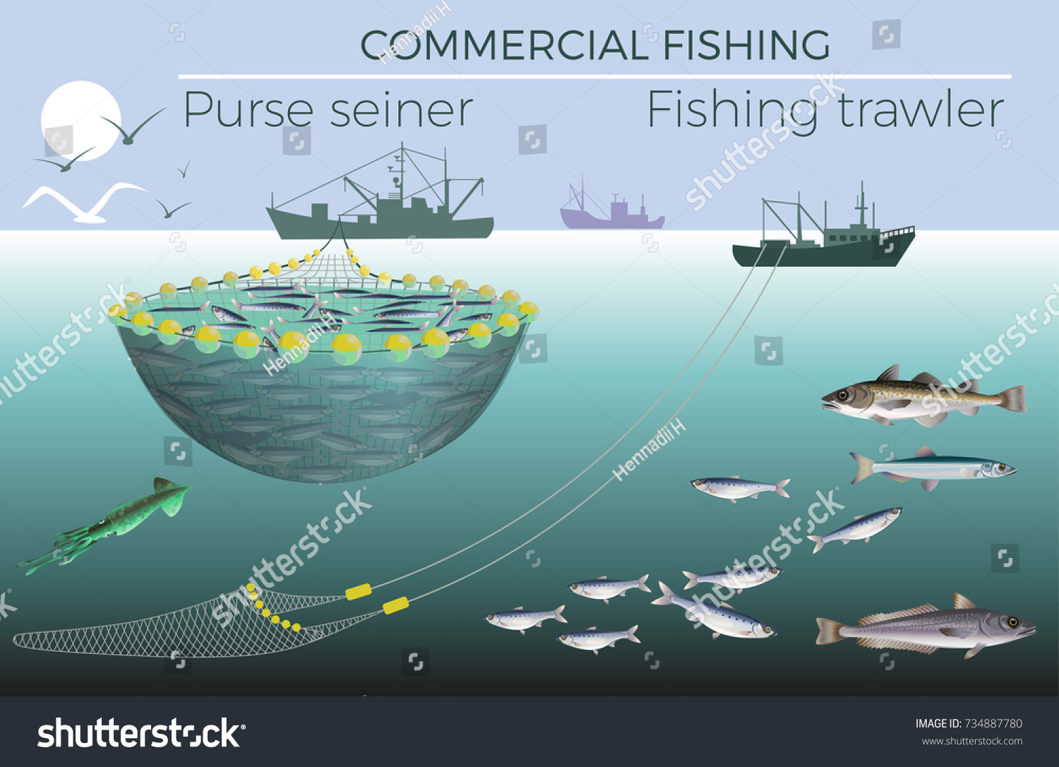 Fishing Trawler Purse Seiner Vector Illustration Stock Vector (Royalty ...